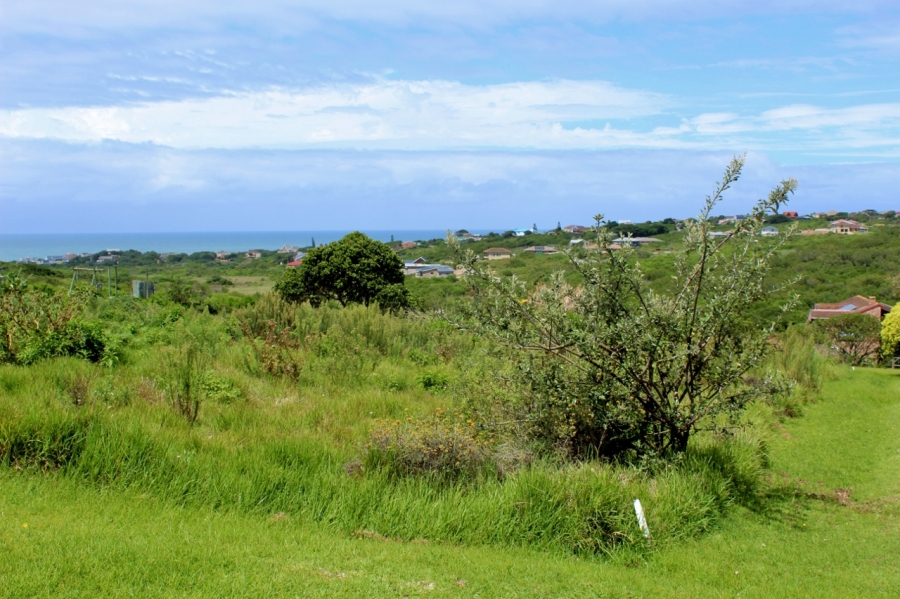 0 Bedroom Property for Sale in Forest Downs Eastern Cape